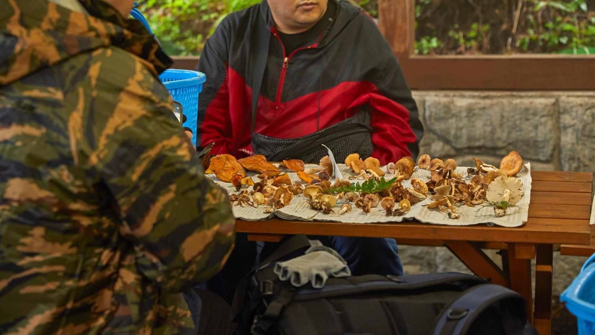 Tengu Onsen Asama Sanso Komoro Eksteriør billede